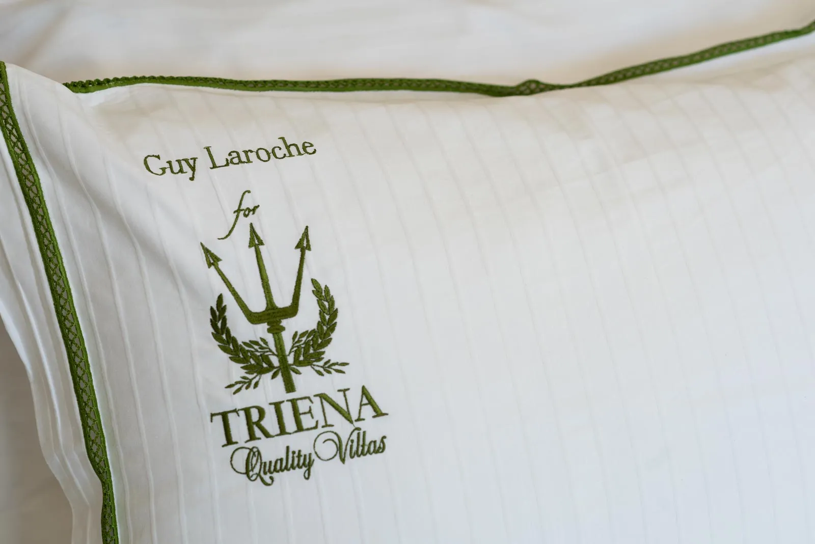 triena villas 81